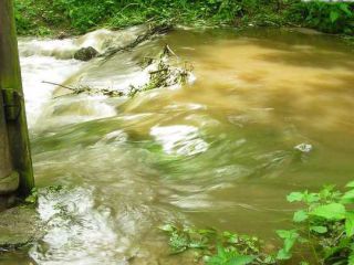 !Deník posledních dnů