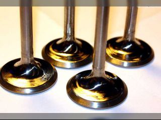 !Deník posledních dnů